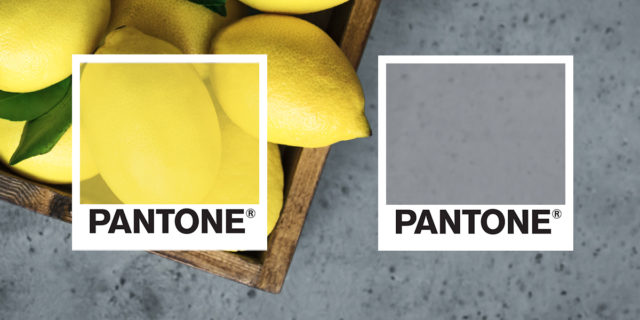 Sárga & szürke – Így mutatnak jól 2021 Pantone színei az esküvődön